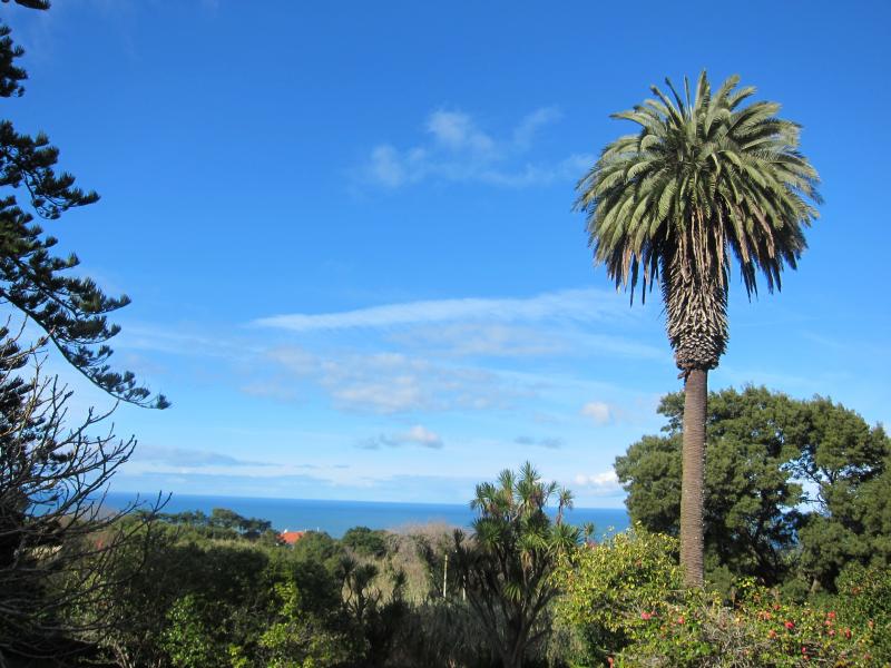 My vintage wedding venue - The Quinta - views