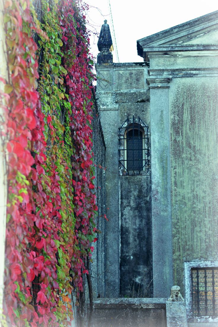 the quinta vintage venue