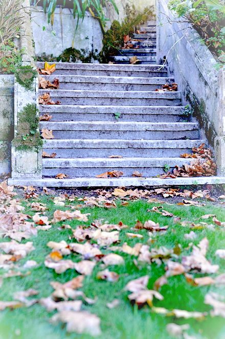 the quinta vintage venue