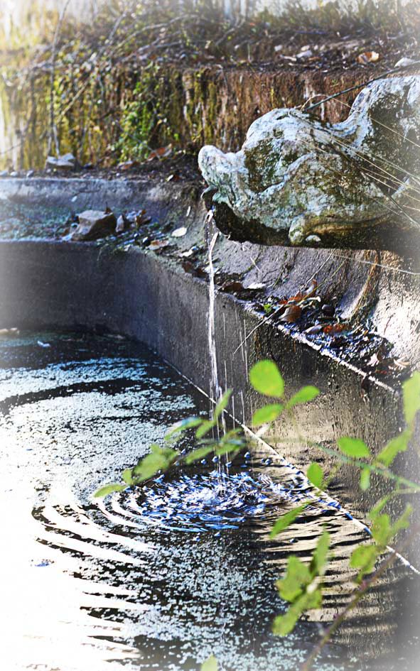 the quinta vintage venue