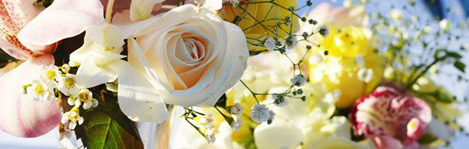 the quinta vintage venue